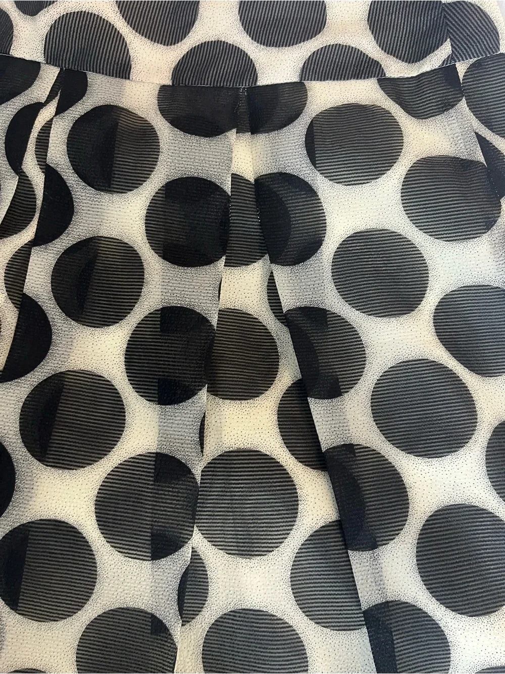 The Limited Black Polka Dot Skater Skirt on Cream